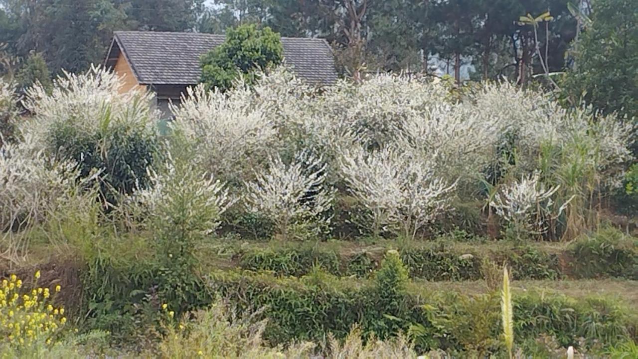 Huy Man Homestay Хазянг Екстер'єр фото