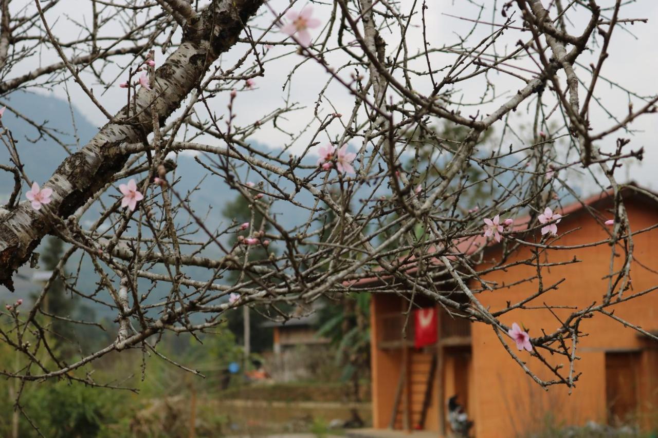 Huy Man Homestay Хазянг Екстер'єр фото