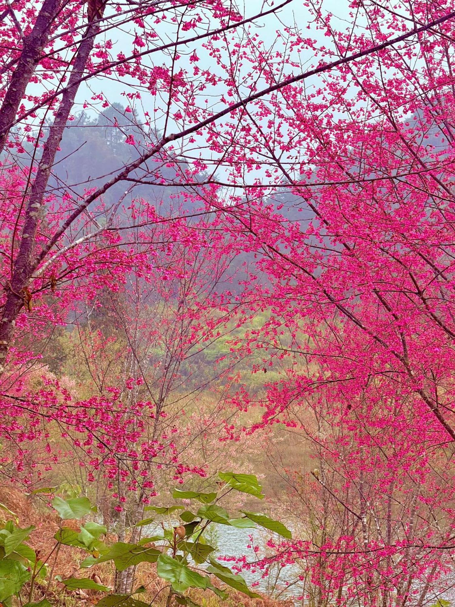 Huy Man Homestay Хазянг Екстер'єр фото